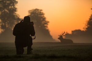 Siluett av naturfotograf som fotograferar kronhjort i gryningsljus