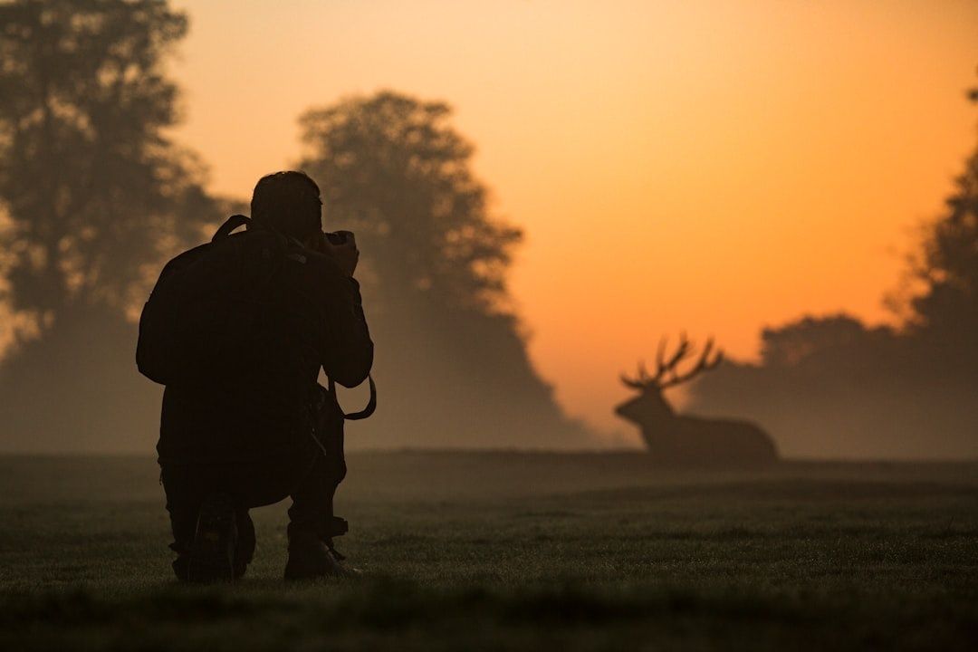 Så fotograferar du vilda djur på deras villkor: Smarta knep för skarpa möten